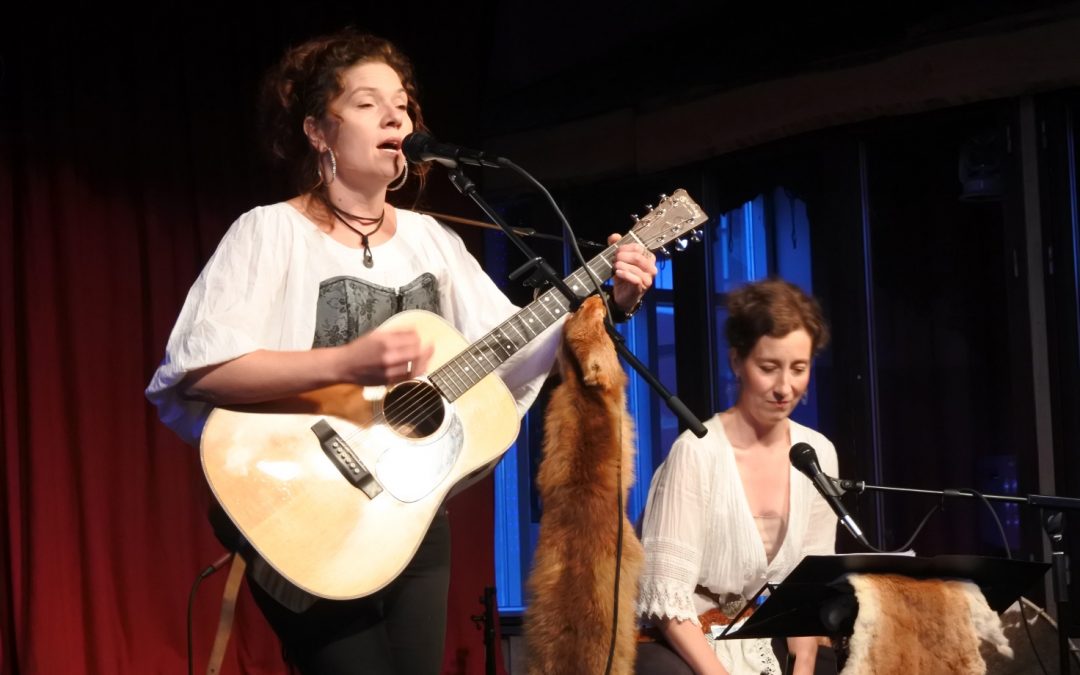 dickinson-1080x675 Rootszone.dk